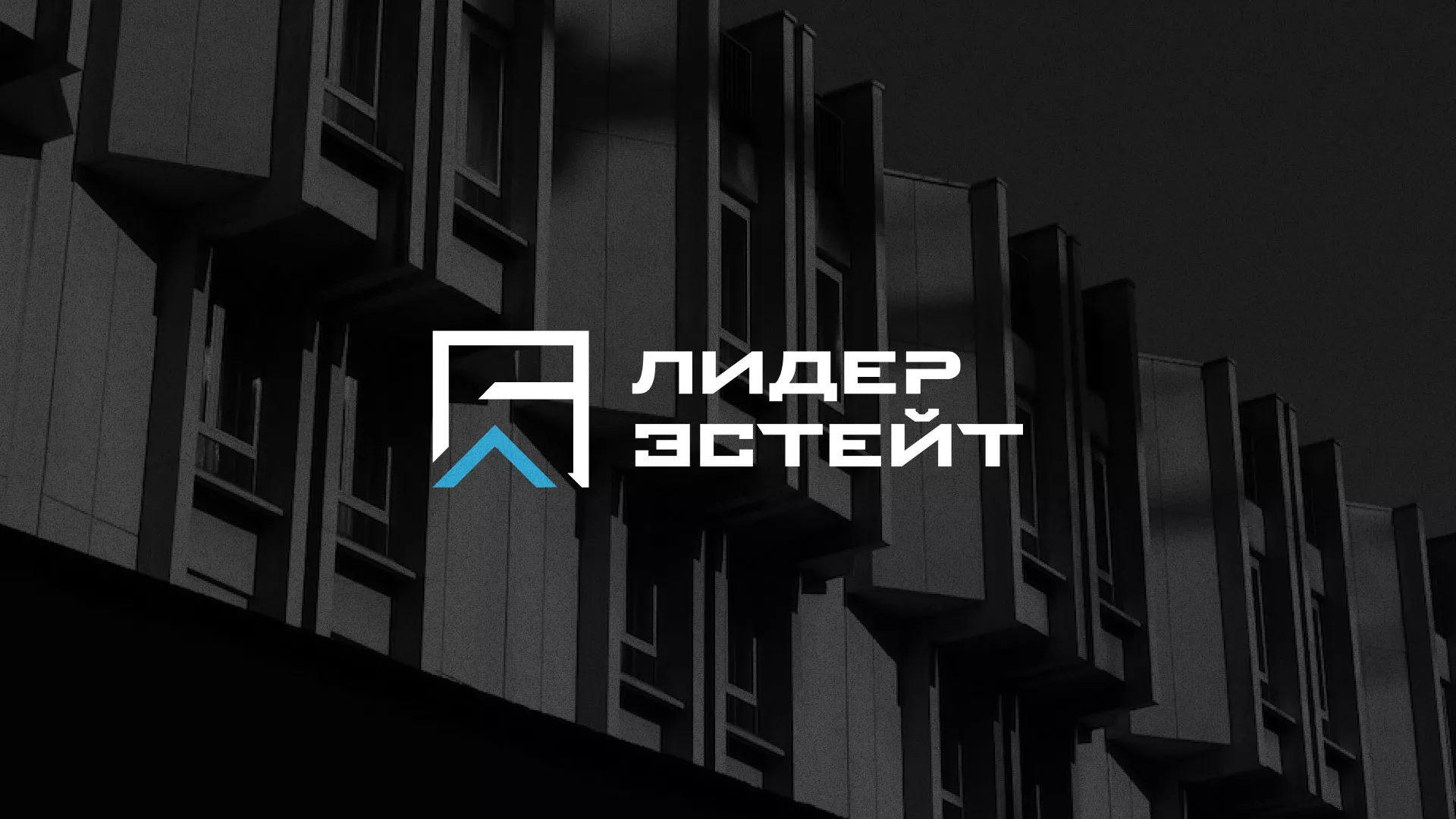 Разработка логотипа агентства недвижимости «Лидер Эстейт» в Адыгейске
